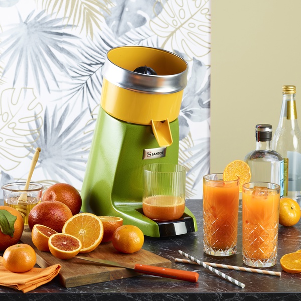 Citrus Juicer