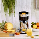 "Classic" citrus juicer 11
